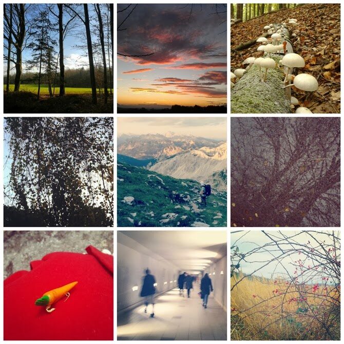 365 walks collage (7)