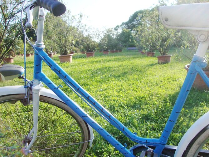 bike with birds