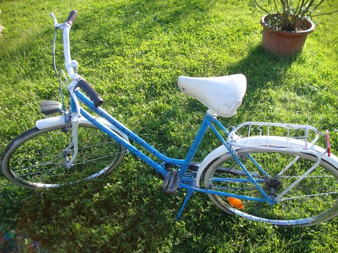 blue white freedom bike