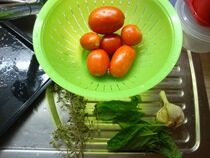 making pelatti, drying tomatoes (1)