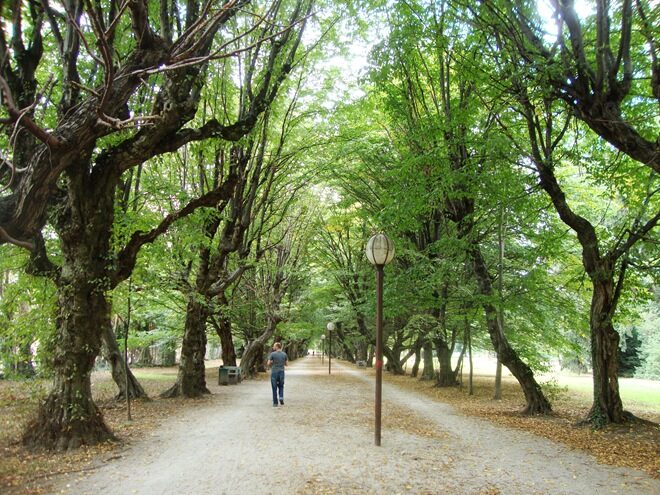 park slovenska bistrica