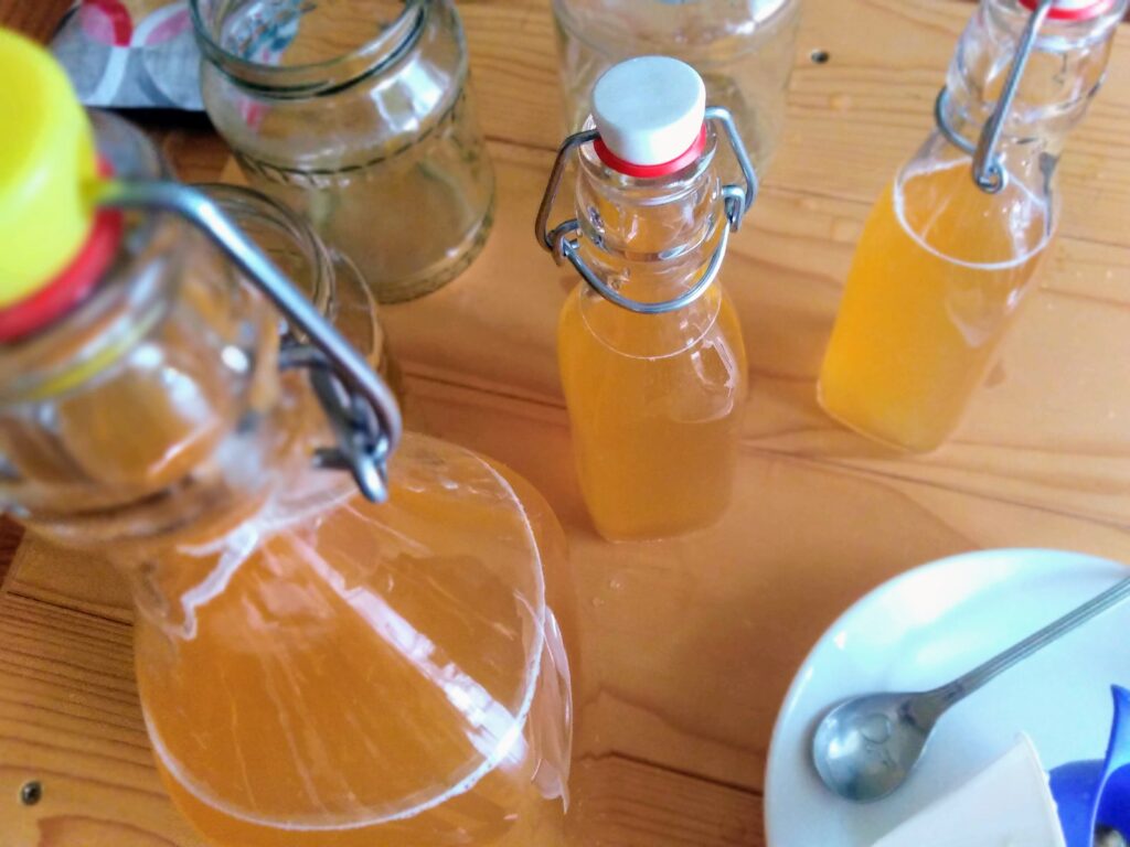 kombucha in bottles